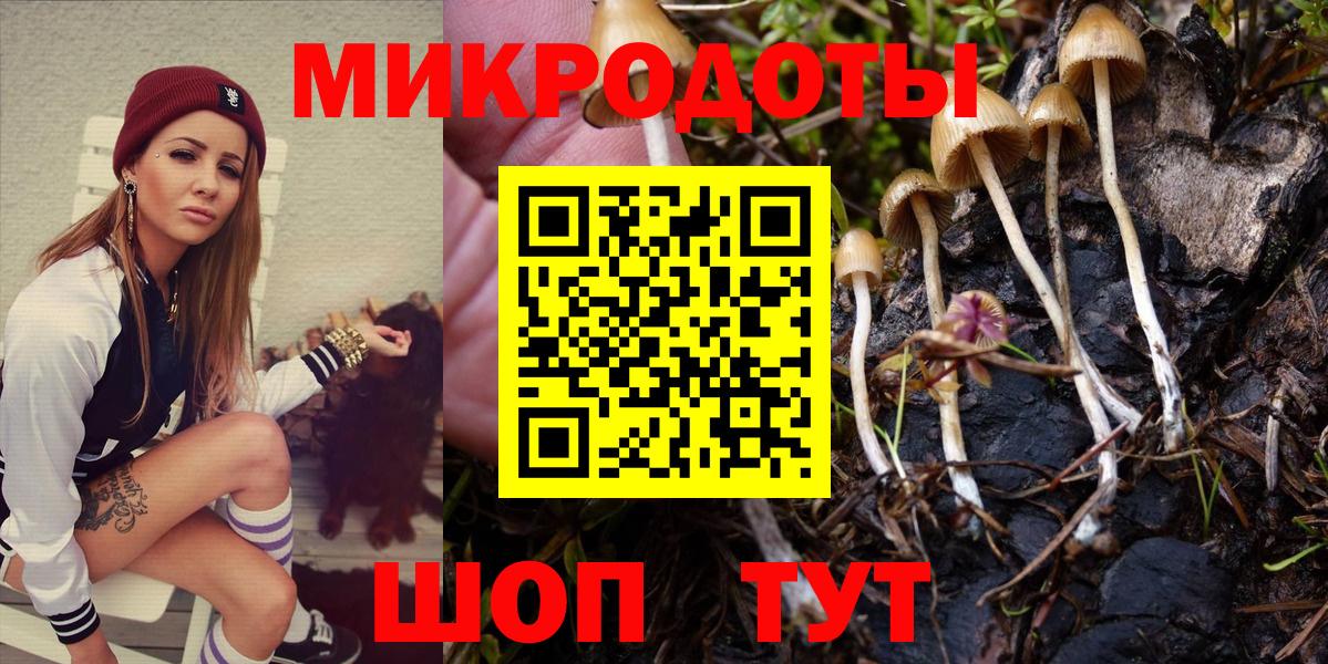 Гудермес  Галлюциногенные грибы Magic Shrooms  Вход с VPN 