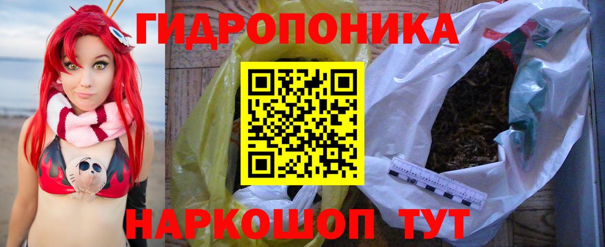 Гудермес  Бошки Шишки SATIVA & INDICA  МАРИХУАНА планчик  Вход с VPN 